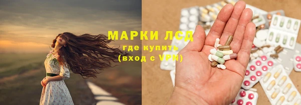 гидра Дмитров