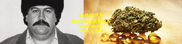 гидра Дмитров