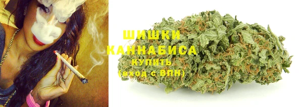 гидра Дмитров